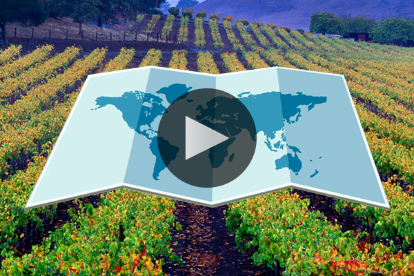 Wine on Earth: The Importance of Place