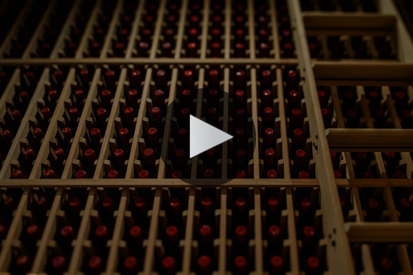 Open The Cellar: Celebrating Napa Valley’s 2014 Vintage 